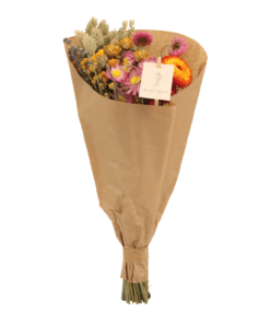 Droogbloemen Field Bouquet Multi – Ø15 – ↨35cm