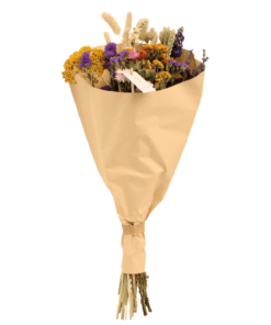 Droogbloemen Field Bouquet Multi – Ø25 – ↨60cm