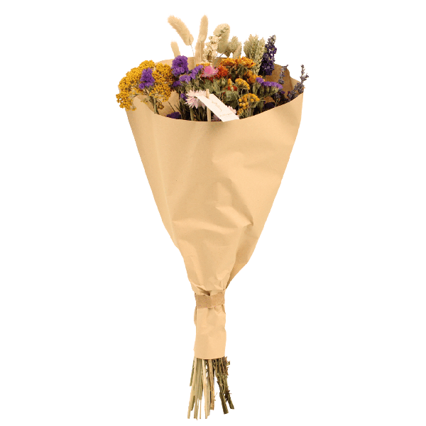 Droogbloemen Field Bouquet Multi – Ø25 – ↨60cm