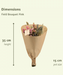 Droogbloemen Field Bouquet Pink – Ø15 – ↨35cm