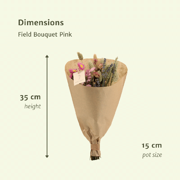 Droogbloemen Field Bouquet Pink – Ø15 – ↨35cm