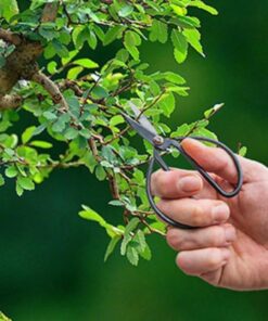 Bonsai shears L – 19 cm – Bonsai tool