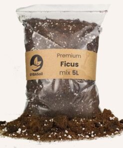 Ficus mix 5L