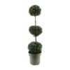 Buxus Semp. Trio-Ball – Ø27cm – ↕110cm