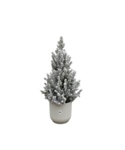 Combi deal – Picea Glauca met sneeuw (kerstboompje) inclusief elho Vibes Fold Round wit Ø22 – 60 cm