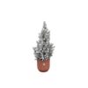 Combi deal – Picea Glauca met sneeuw (kerstboompje) inclusief elho Vibes Fold Round roze Ø22 – 60 cm