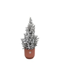 Combi deal – Picea Glauca met sneeuw (kerstboompje) inclusief elho Vibes Fold Round roze Ø22 – 60 cm