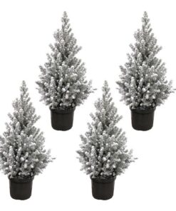 Kerstboom pakket – 4x Picea met sneeuw – 60 cm