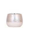 Kolibri Home | Elite silver pot – topfgröße Ø9cm – Ø12cm