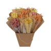 Getrocknete Blumen – Dried Mono Mix – Blossom – ↕50cm