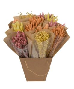 Getrocknete Blumen – Dried Mono Mix – Blossom – ↕50cm