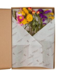 Getrocknete Blumen – Flowers in Leterbox – Multi – 5 Stücke – ↕30cm