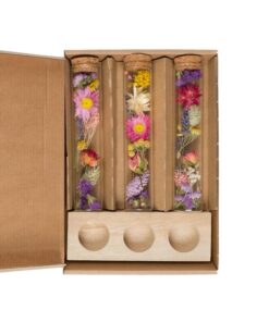 Getrocknete Blumen – Message in a Box Large – Multi – 8 Stücke – ↕15cm