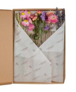 Getrocknete Blumen – Flowers in Letterbox – Pink – 5 Stücke – ↕30cm