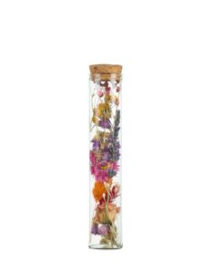 Getrocknete Blumen – Wish Bottle Medium – Multi – 6 Stücke – ↕15cm