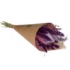 Getrocknete Blumen – Field Bouquet Exclusive Large – Purple – 6 Blumensträuße – ↕60cm