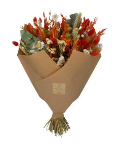 Getrocknete Blumen – Classic Bouquet – Orange – 4 Blumensträuße – ↕60cm