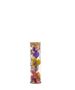 Getrocknete Blumen – Wish Bottle Small – Multi – 12 Stücke – ↕10cm