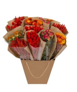 Getrocknete Blumen – Dried Mono Mix – Orange – ↕50cm