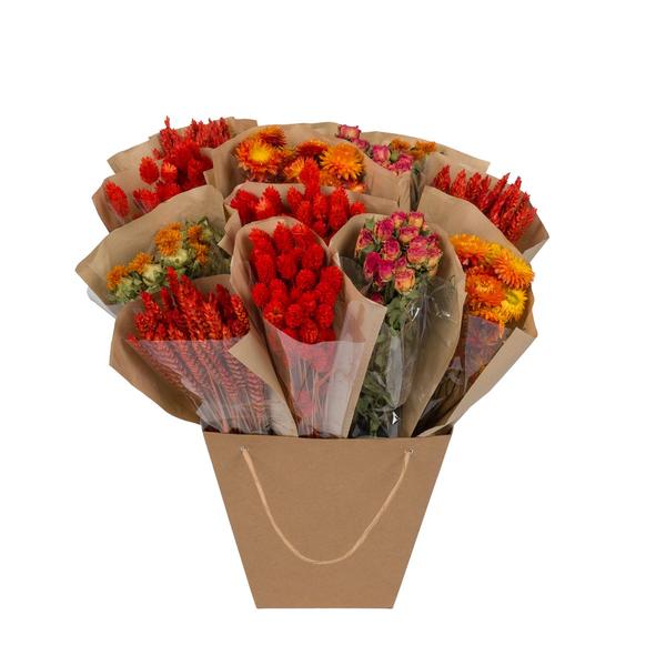 Getrocknete Blumen – Dried Mono Mix – Orange – ↕50cm