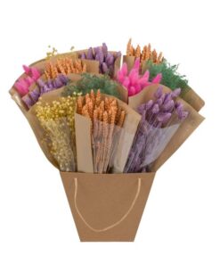 Getrocknete Blumen – Dried Mono Mix – Pastel – ↕50cm