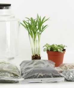 Terrarium Arrangement (DIY) – Ø17cm – ↕25cm