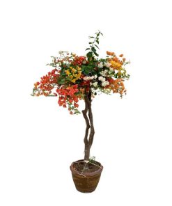 Bougainvillea deluxe in stenen pot – 170 cm – ø40