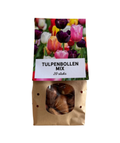 Tulpen Mix – Tulpenbollen 20 stuks