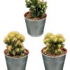 Cactus- Rotsen mix- Ø8,5 cm – ↕️13-17 cm – 3 Stück – Zinktöpfe