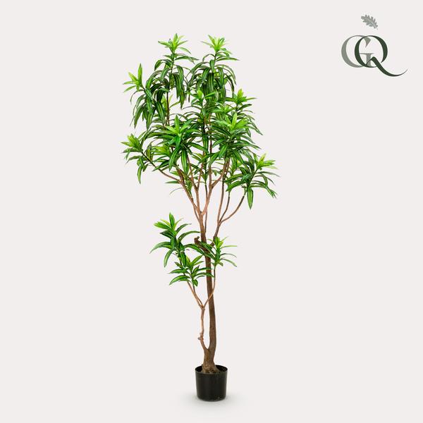 Kunstpflanze – Dracaena – Drachenbaum – 190 cm