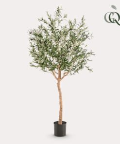 Kunstpflanze – Olea europaea – Olivenbaum – 180 cm