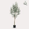 Kunstpflanze – Olea europaea – Olivenbaum – ↕140 cm