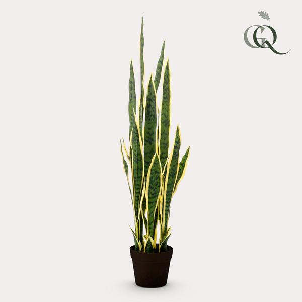 Kunstpflanze – Sanseveria Trifasciata – Frauenzunge – ↕97 cm