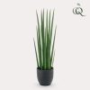 Kunstpflanze – Sansevieria Cylindrica – Frauenzunge – ↕70 cm