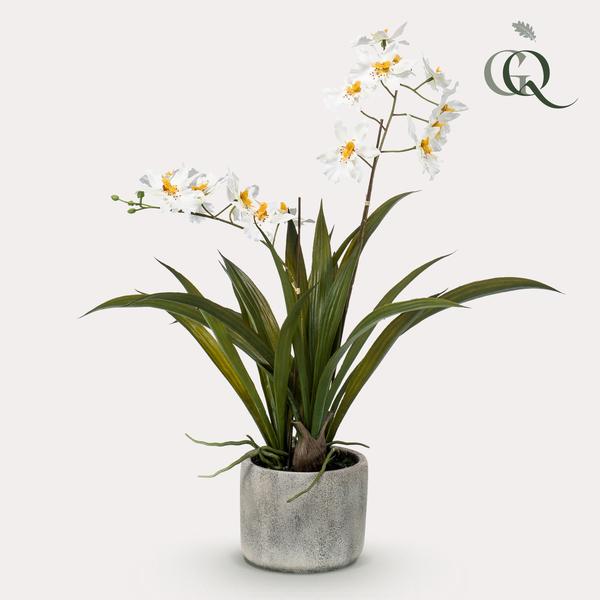 Kunstpflanze – Orchidee – Weiß – ↕45 cm