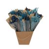 Getrocknete Blumen – Dried Mono Mix – Blau – ↕50 cm