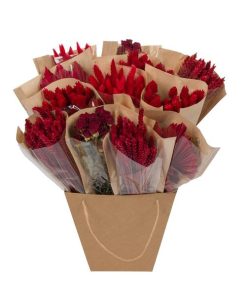 Getrocknete Blumen – Dried Mono Mix – Red (Rot) – ↕50 cm