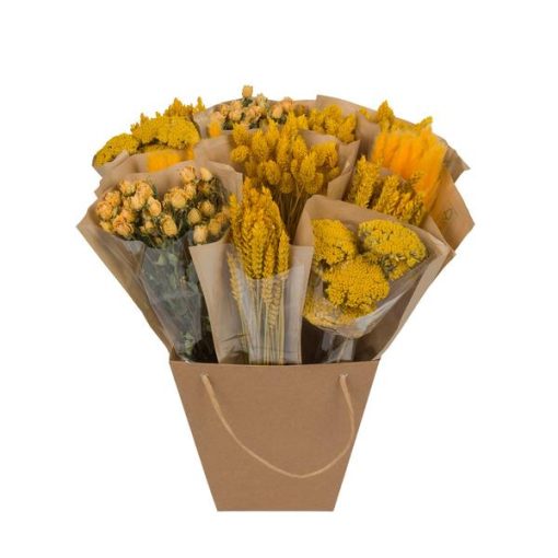 Getrocknete Blumen - Dried Mono Mix - Gelb - ↕50 cm