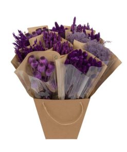 Getrocknete Blumen – Dried Mono Mix – Purple (Lila) – ↕50 cm