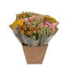 Getrocknete Blumen – Dried Mono Mix – Dutch – ↕ 50cm