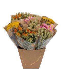 Getrocknete Blumen – Dried Mono Mix – Dutch – ↕ 50cm