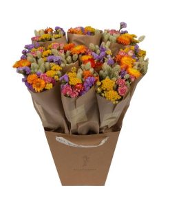 Getrocknete Blumen – Market More – Multi – ↕50 cm