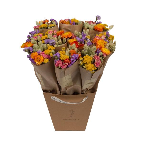 Getrocknete Blumen – Market More – Multi – ↕50 cm