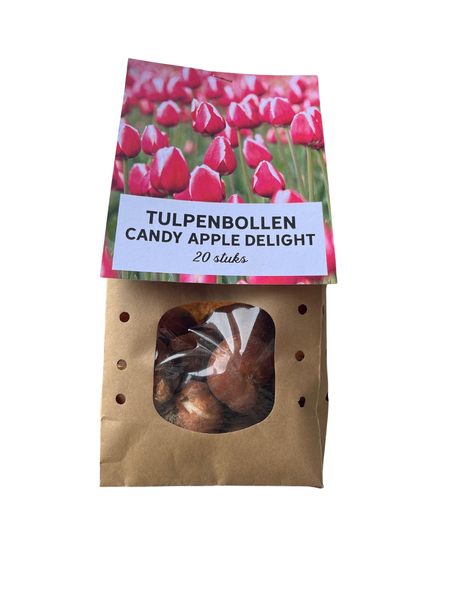 Candy Apple Delight – Tulpenbollen 20 stuks