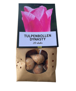 Dynasty – Tulpenbollen 20 stuks