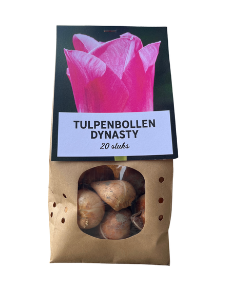 Dynasty – Tulpenbollen 20 stuks