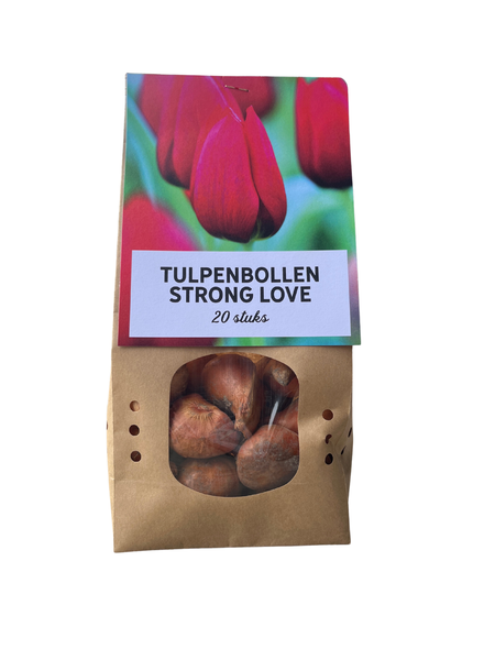 Strong Love – Tulpenbollen 20 stuks