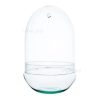 Egg XL Terrarium bottle – Egg XL Terrariumflasche – (Semi)Closed terrarium ↑ 30 cm – Model: Egg XL