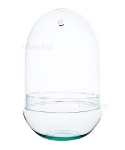 Egg XL Terrarium bottle – Egg XL Terrariumflasche – (Semi)Closed terrarium ↑ 30 cm – Model: Egg XL