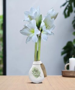 No Water Flowers® (wax amaryllis) | Naturalz Botanical – Palm + White flower